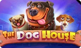 Oliver Casino – The Dog House